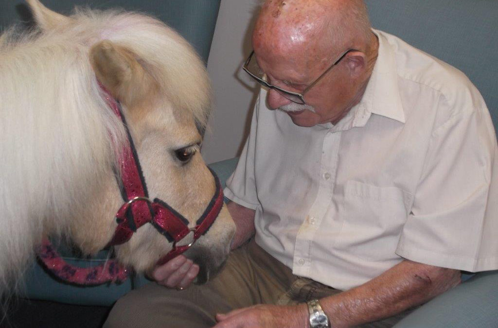 Pinky the pony visits St Winifreds Care Home