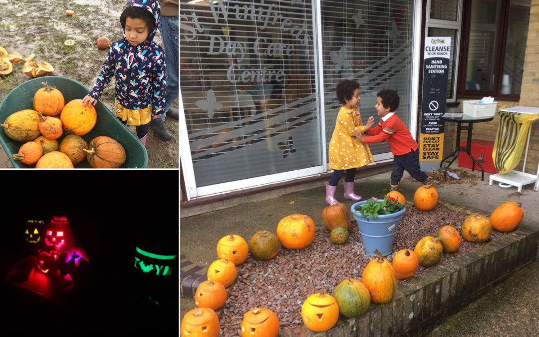 Pumpkin picking for St Winifreds Care Home