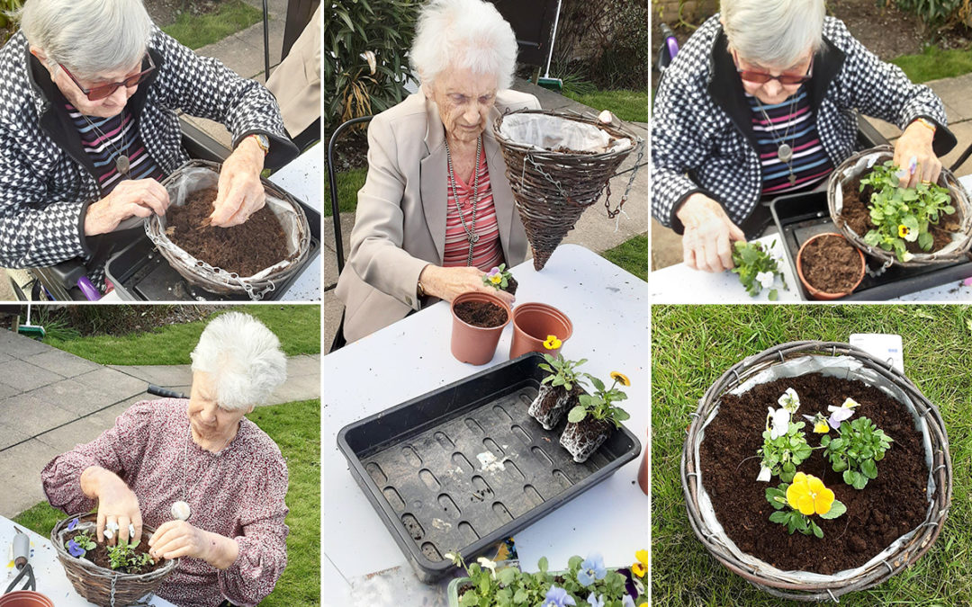 Potting pansies and planting seeds at St Winifreds Care Home