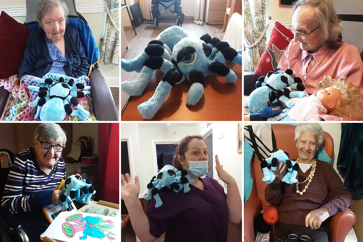 St Winifreds Care Home's Halloween cuddly spider