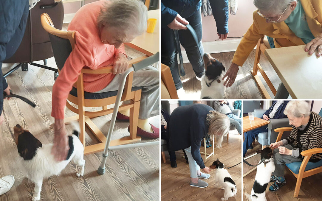 A visit from Max at St Winifreds Care Home