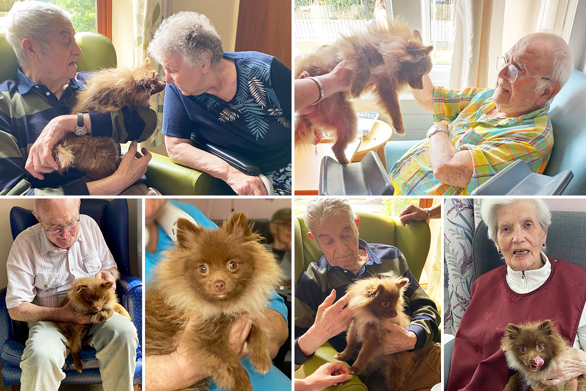 St Winifreds Care Home residents welcoming Teddy the Pomeranian