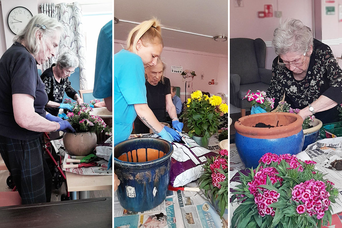 St Winifreds Care Home residents show off their green fingers